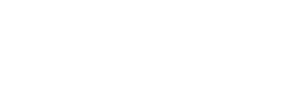 Netsurit White Logo