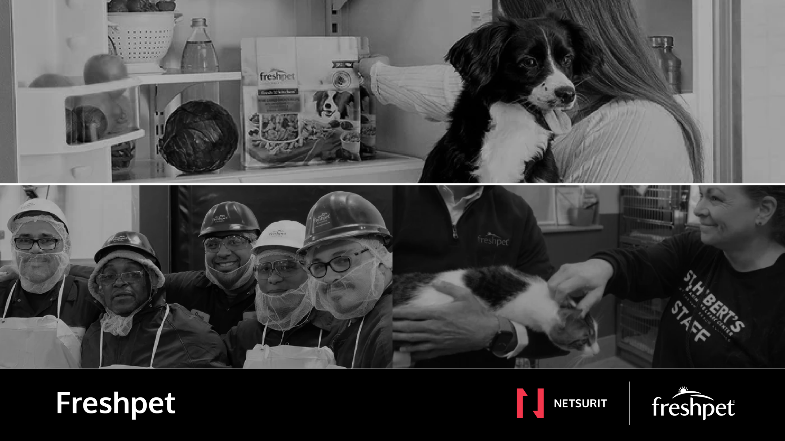 Greyscale collage of Freshpet team members with pets: a woman holding a black-and-white dog near an open fridge, plus colleagues in protective gear and a person handling a cat