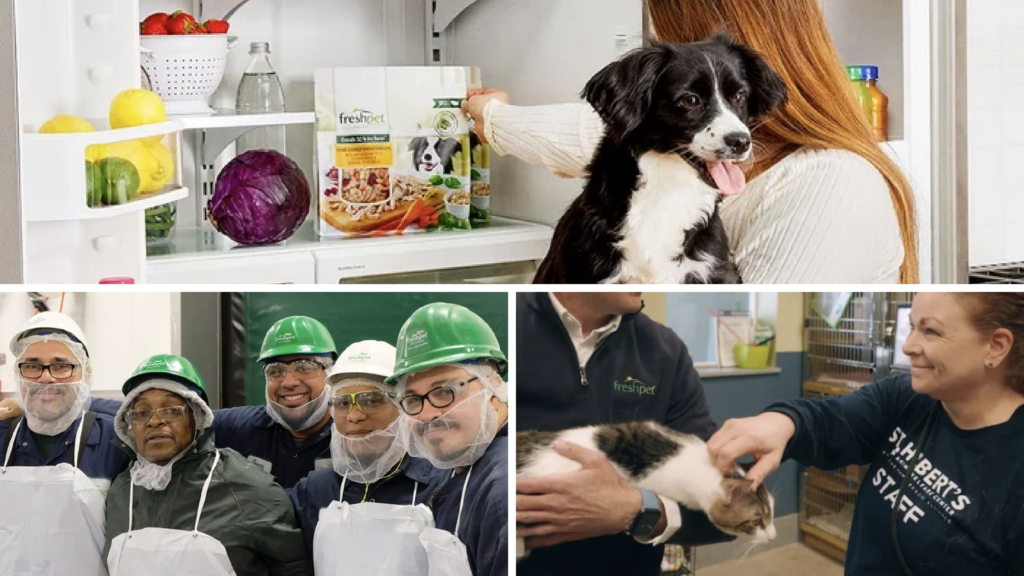 Collage of Freshpet team members with pets: a woman holding a black-and-white dog near an open fridge, plus colleagues in protective gear and a person handling a cat